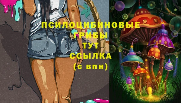2c-b Баксан
