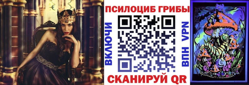 Галлюциногенные грибы Cubensis Гуково